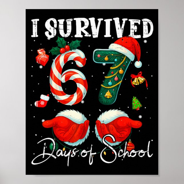 Poster Eu Sobrevivi 67 Dias De Natal Do Colégio De Piruli (Frente)