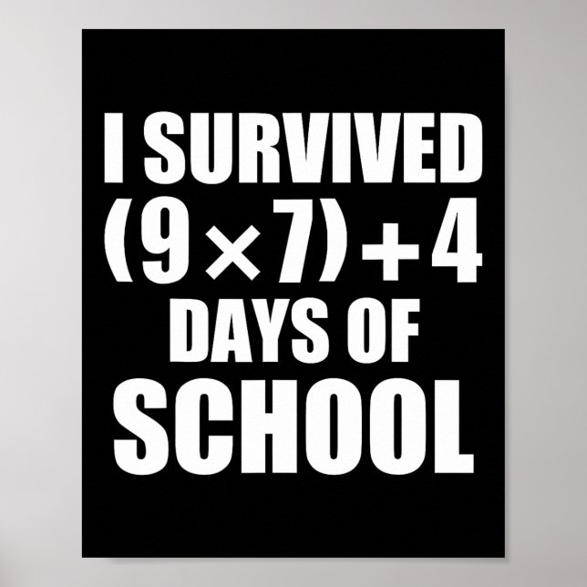 Poster Eu Sobrevivi à Equação Matemática 67 Dias De Escol (Frente)