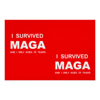 Pôster Eu Sobrevivi ao MAGA
