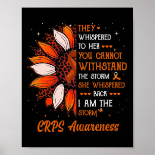 Poster Eu sou a Tempestade Cps Consciência Mês Guerreiro