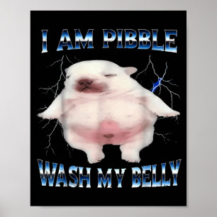 Poster Eu Sou Bble Lavar Meu Bble Barriga Meme Cachorro E