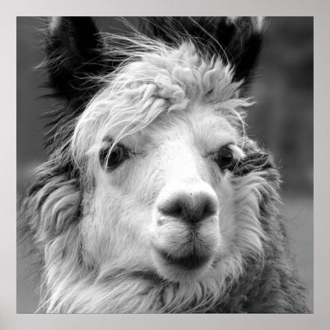 Poster Eu sou bonita (Frente)