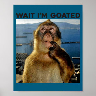 Poster Eu Sou Macaco Pensativo Goated Meme