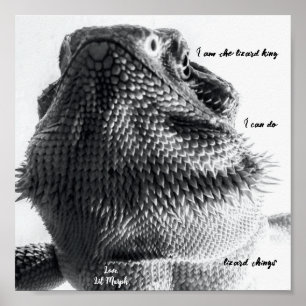 Poster "Eu sou o rei lagarto" Black and White Lizard