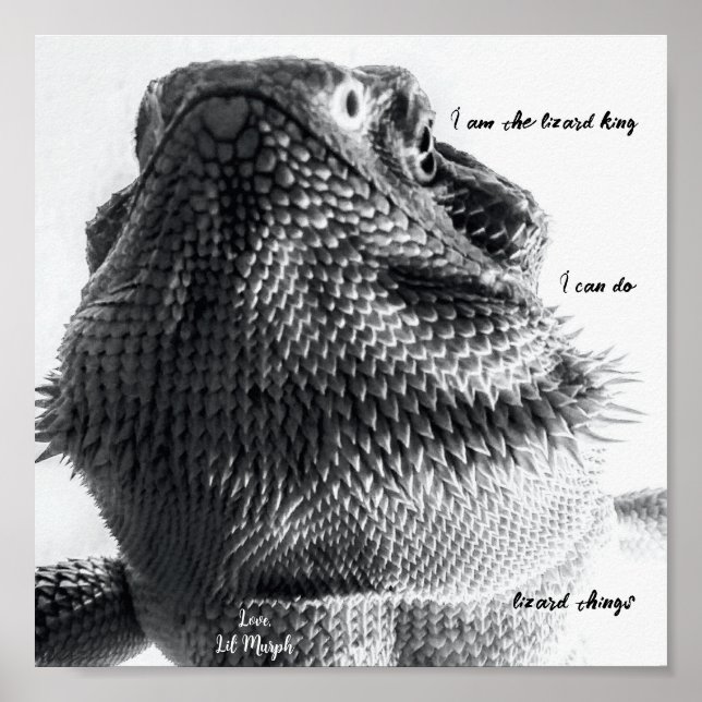 Poster "Eu sou o rei lagarto" Black and White Lizard (Frente)