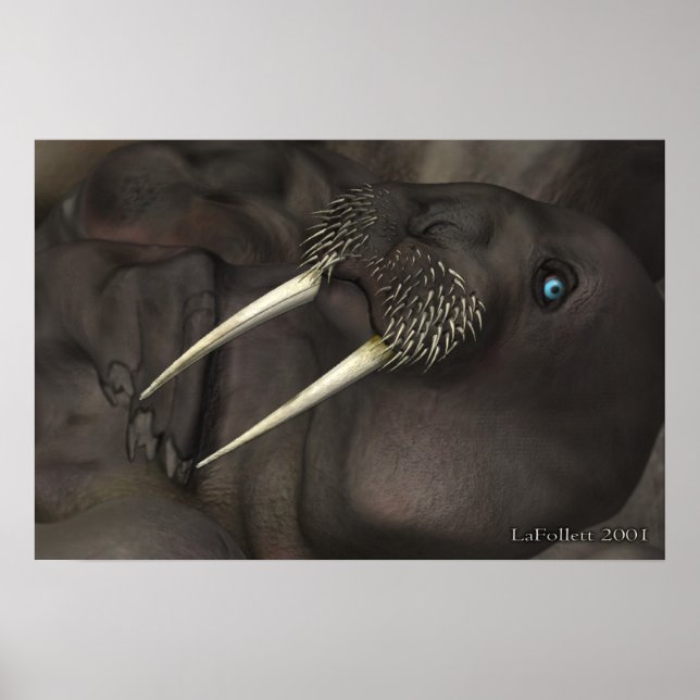 Poster Eu Sou O Walrus (Frente)