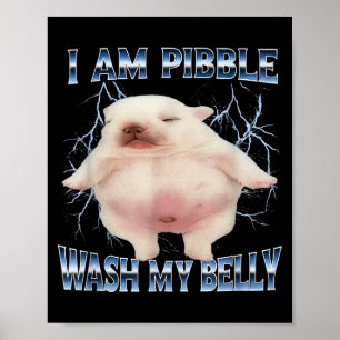 Poster Eu Sou Pibble Lave Minha Barriga Cachorro Engraçad