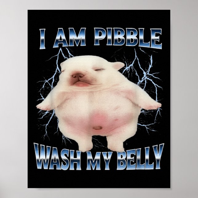 Poster Eu Sou Pibble Lave Minha Barriga Cachorro Engraçad (Frente)