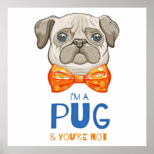 Poster Eu Sou Um Presente De Pug Engraçado, Um Presente 