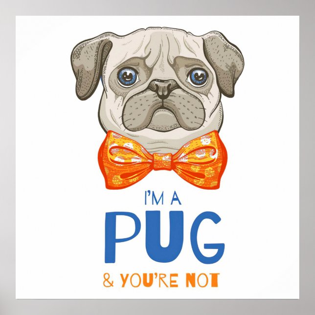 Poster Eu Sou Um Presente De Pug Engraçado, Um Presente D (Frente)