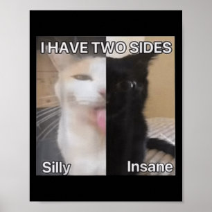 Poster Eu Tenho Dois Lados Bobo Insiso Gato Engraçado Par