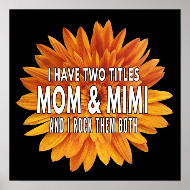 Poster eu tenho dois títulos mamãe e mimi e eu arraso nos (Frente)