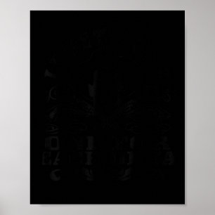 Poster Eu Tenho Duas Armas Uma Para Cada Ya