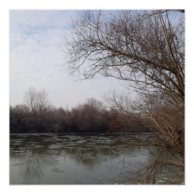 Pôster Eu tenho ribeirinho no inverno (Frente)