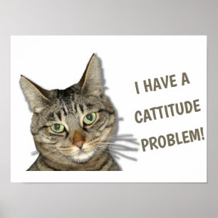 Poster Eu tenho um problema de cattitude!