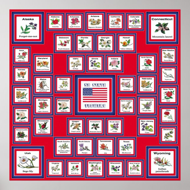 PÔSTER EUA 50 FLORES ESTATAIS RED/560 (Frente)