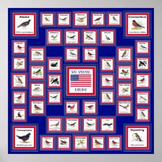 PÔSTER EUA 50 STATE BIRDS BLUE/552