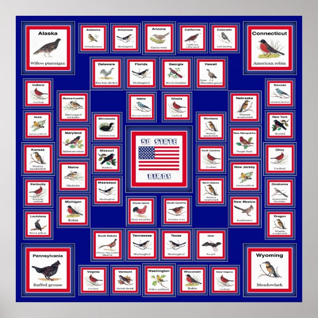 PÔSTER EUA 50 STATE BIRDS BLUE/552 (Frente)
