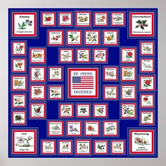 PÔSTER EUA 50 STATE FLOWERS BLUE/558 (Frente)