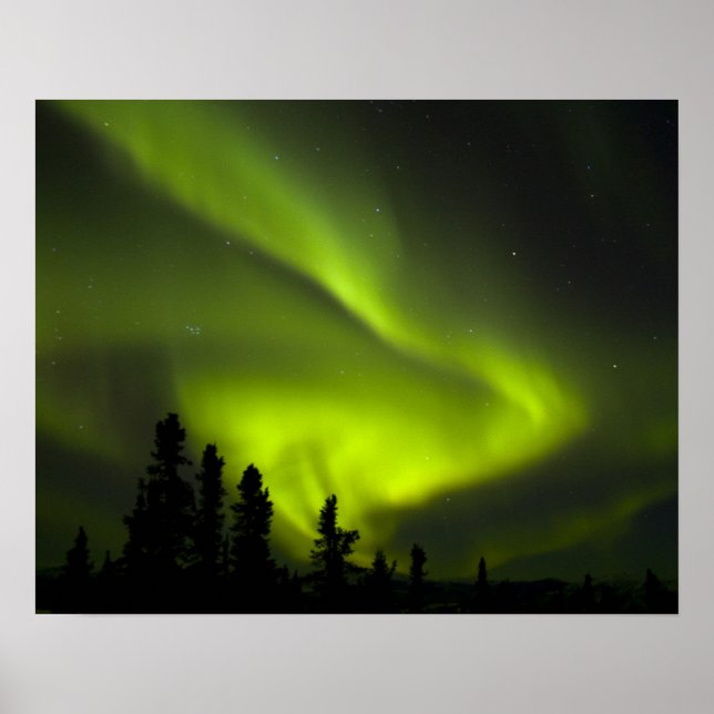 Pôster EUA, Alasca, Chena Hot Springs. Aurora Boreal 2 (Frente)