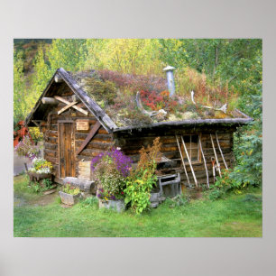 Pôster EUA, Alasca, Parque Nacional Denali, Kantishna.