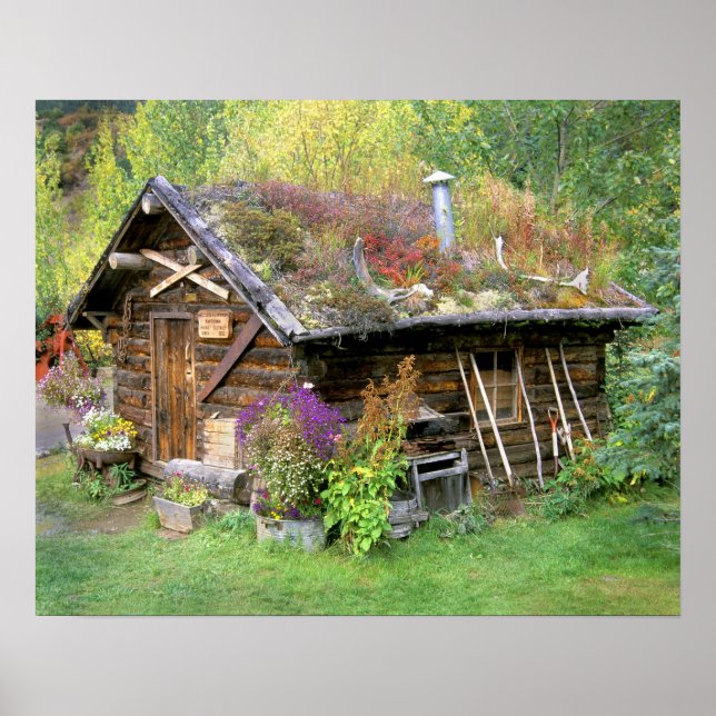 Pôster EUA, Alasca, Parque Nacional Denali, Kantishna. (Frente)