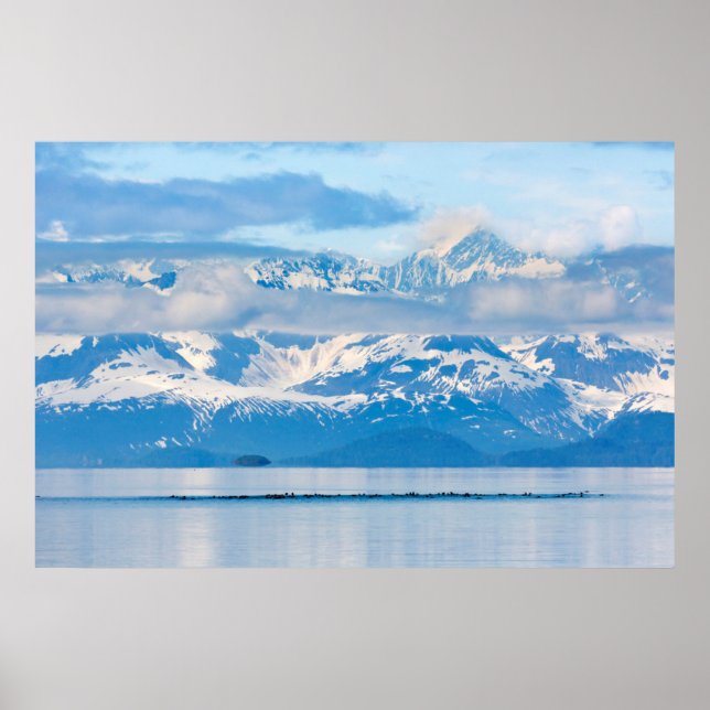 Poster EUA, Alasca, Parque Nacional Glacier Bay 6 (Frente)