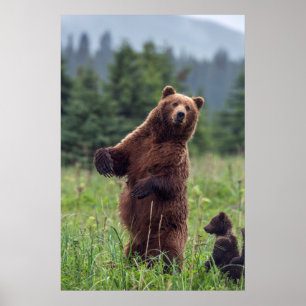Pôster EUA, Alaska do sudeste, urso de Brown e filhote