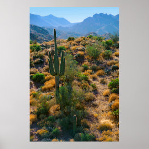 Poster EUA, Arizona. Desert View