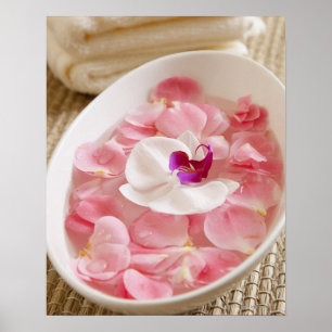 Poster EUA, Califórnia, Fairfax, bacia de pétalas perto