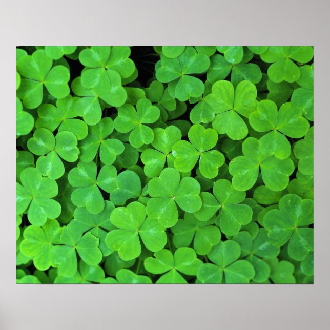 Pôster EUA, Califórnia, Jedediah Smith Rewood SP. (Frente)