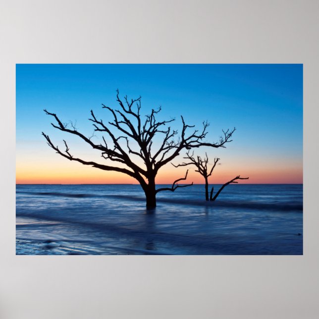 Poster EUA, Carolina do Sul, Edisto Island, Botany Bay (Frente)