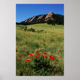 Poster EUA, Colorado, Boulder. Flátions e cocô