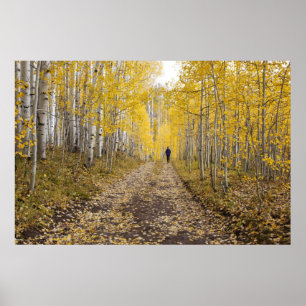 Poster EUA, Colorado, Floresta Nacional Gunnison perto