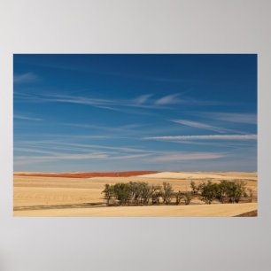 Pôster EUA, Dakota do Sul, Murdo, Paisagem de Pradaria