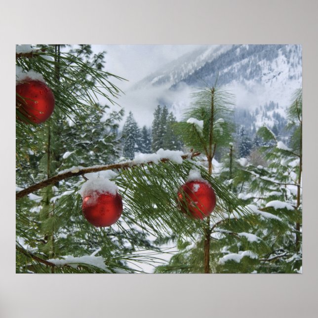 Poster EUA, Estado de Washington, Condado de Chelan (Frente)