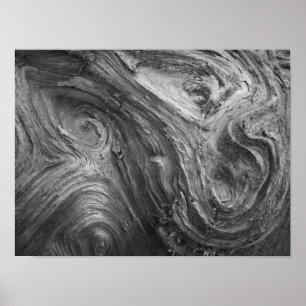 Pôster EUA, Estado de Washington. Fir Douglass