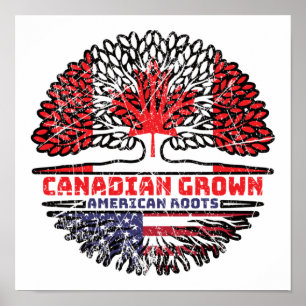 Poster EUA EUA EUA Estados Unidos Canadá Árvore canadiana
