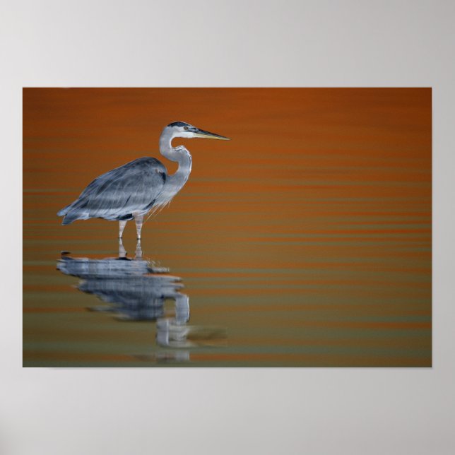 Pôster EUA, Flórida, Ruas. Petersburgo, Fort De Soto (Frente)