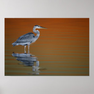 Pôster EUA, Florida, St Petersburg, Forte De Soto