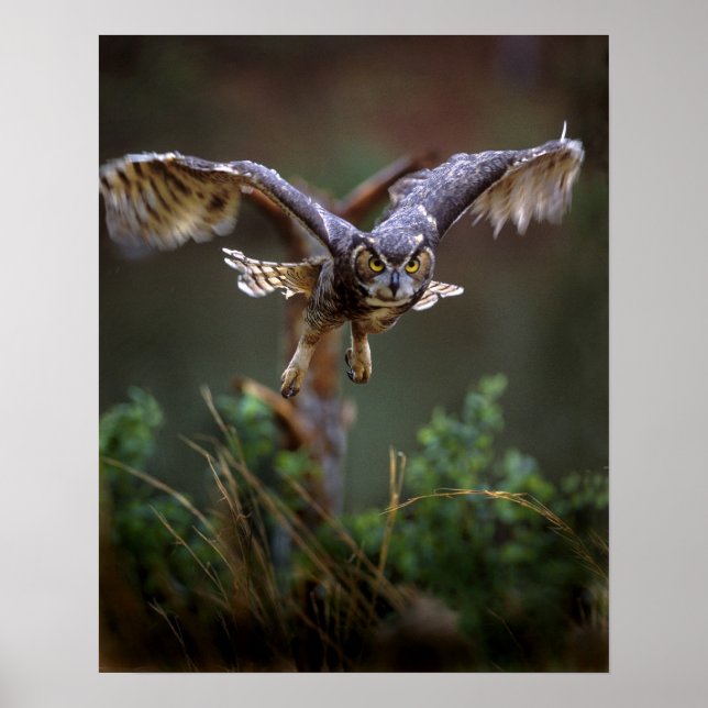 Pôster EUA, Geórgia, Pine Mountain, Jardins Callaway. (Frente)