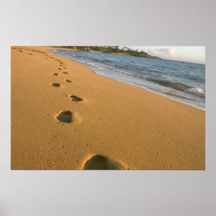 Pôster EUA, Havaí, Kauai, Kapa'a, frente para a praia.