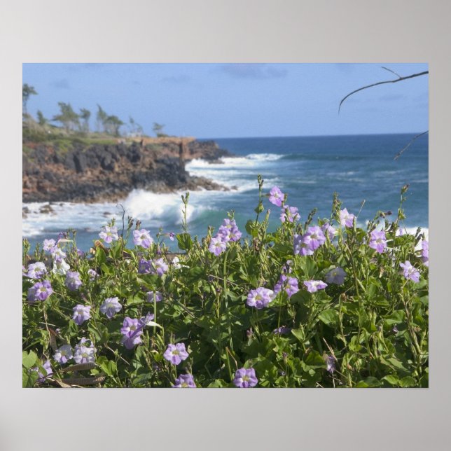 Pôster EUA, Havaí, Kauai, perto de Kapaa, noroeste (Frente)