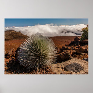 Pôster EUA, Havaí, Maui, Parque Nacional Haleakala