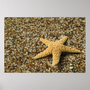 Poster EUA, HI, Kauai, Glass Beach com estrela-do-mar