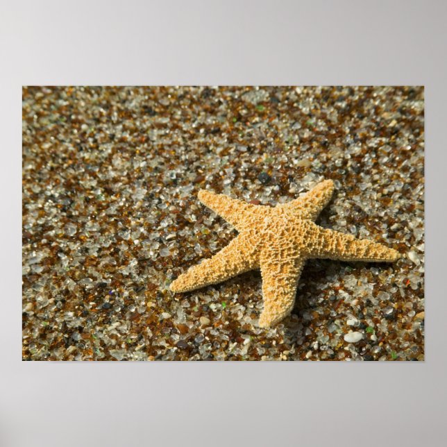 Poster EUA, HI, Kauai, Glass Beach com Star fish (Frente)