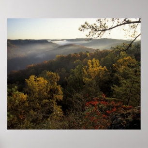 Pôster EUA, Kentucky. Floresta Nacional Daniel Boone.