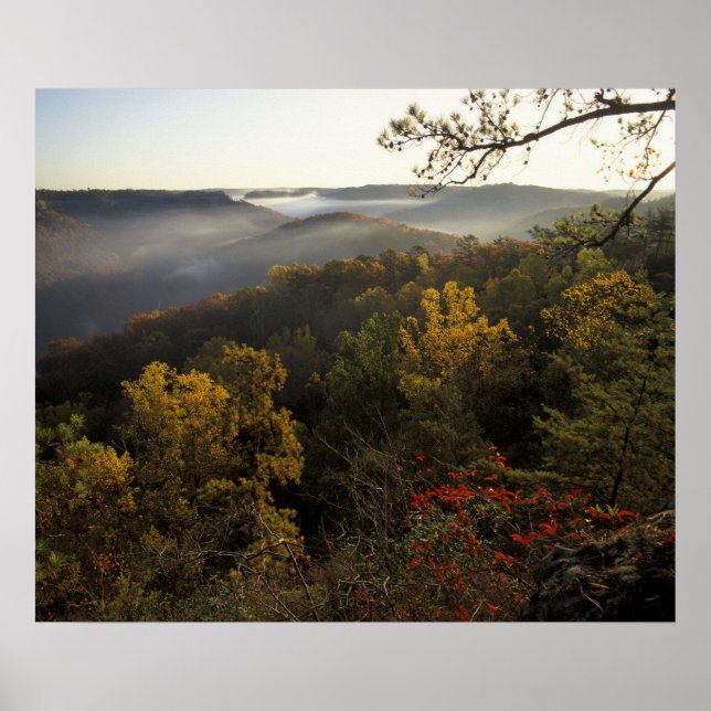 Pôster EUA, Kentucky. Floresta Nacional Daniel Boone. (Frente)