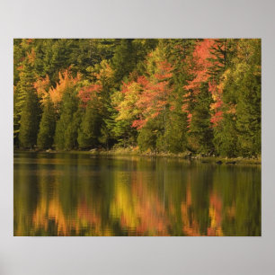 Poster EUA; Maine; Acadia NP. Reflexões de queda em