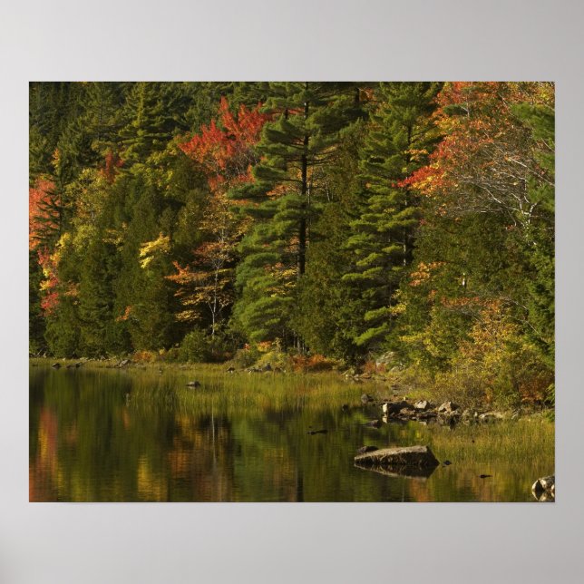 Poster EUA; Maine; Acadia NP. Reflexos de outono às 2 (Frente)
